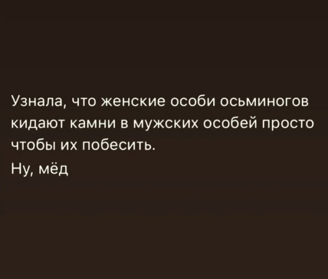 Так себе картинки 12.10.26