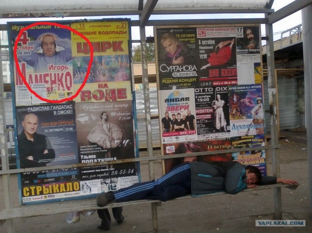 Опять Мизулина