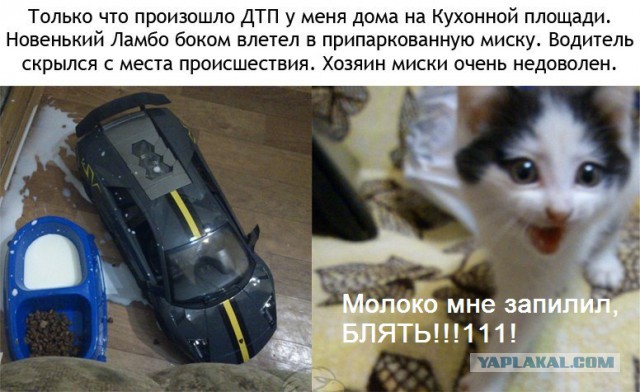 Ужасное ДТП