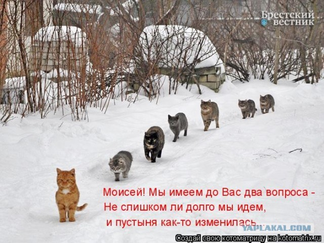 Март ты где ?