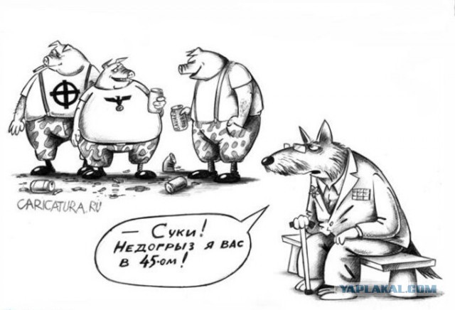 Десяток карикатур