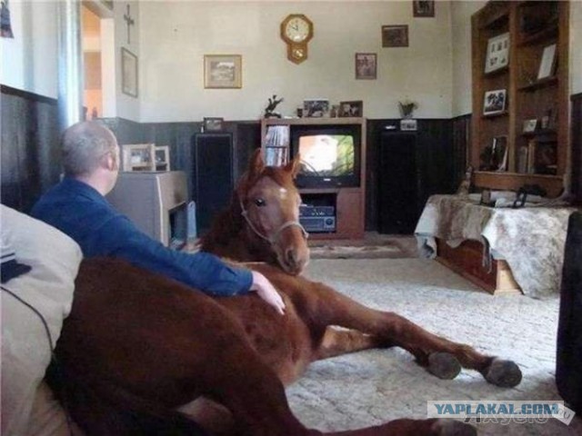 Смешные люди из социальных сетей