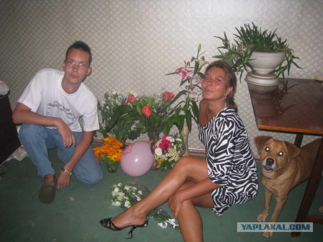 Наши звери