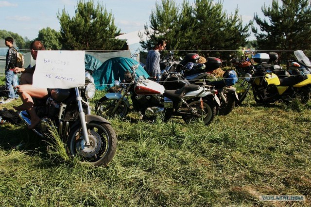 Пустые холмы 2011