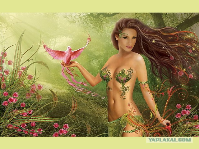 Плюсомет со шпалометом