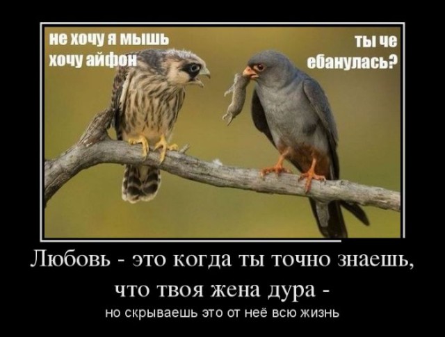 Демотиваторов пост, добавляйте свои