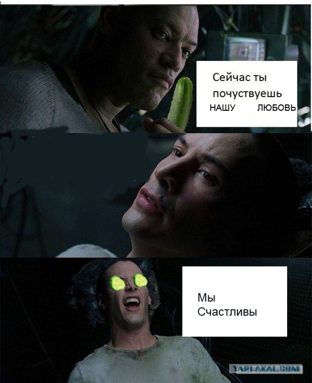 Сила Земли