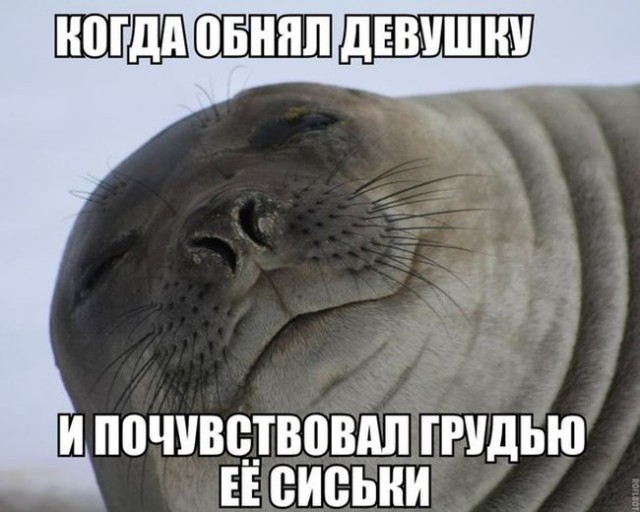 Прикольные картинки.