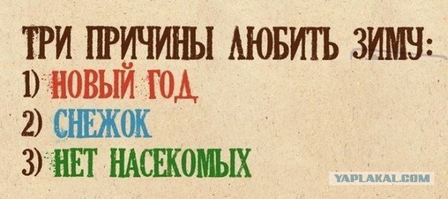 Белая мгла...