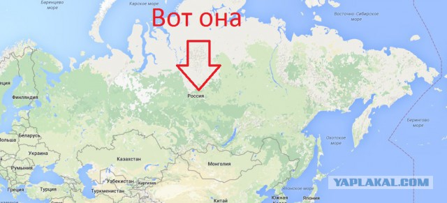 Школьные обеды с разных уголков планеты