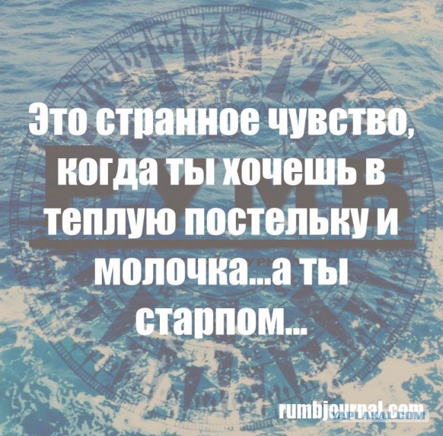 Немного морского юмора