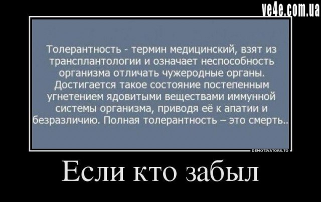 Нелегалы во Франции грабят проезжающих.