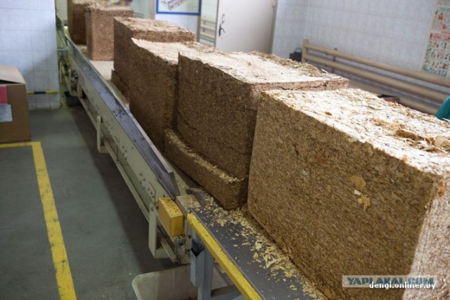 Как в Беларуси делают сигареты: репортаж