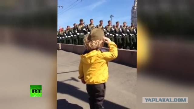 Два василька