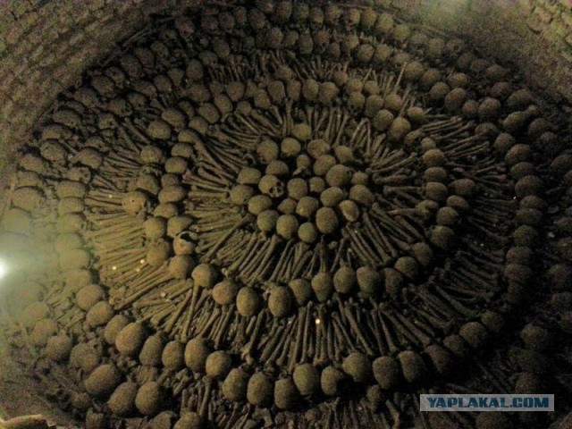 Отчет о путешествии в  Перу