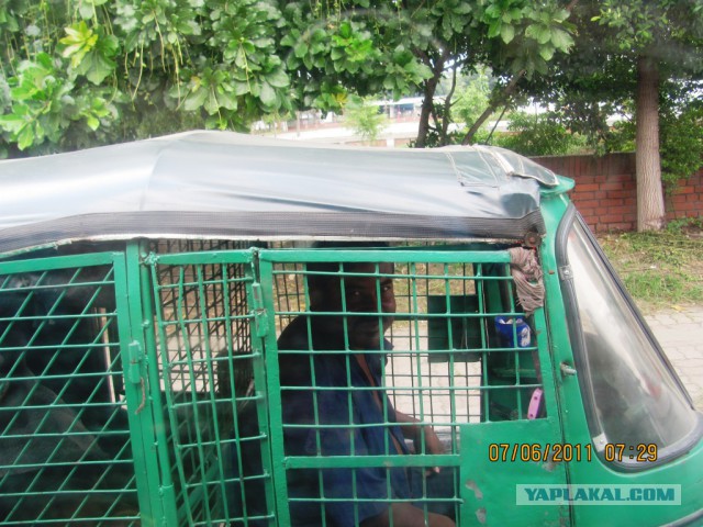 Что такое Бангладеш?