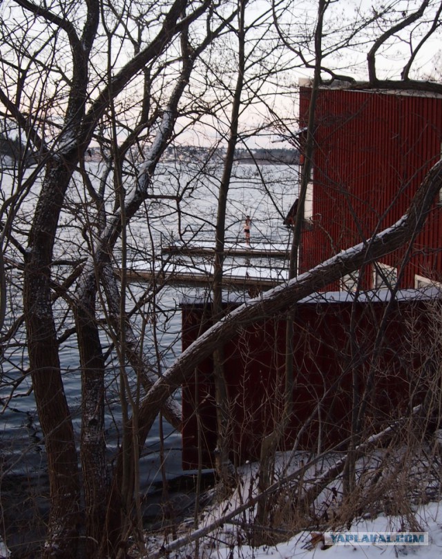 Ташкент, 2 января