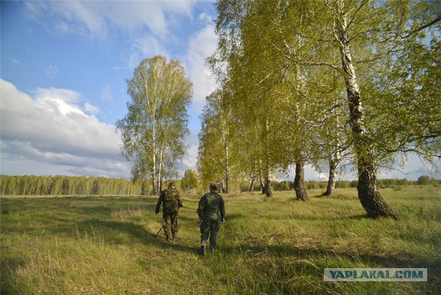 В деревню...