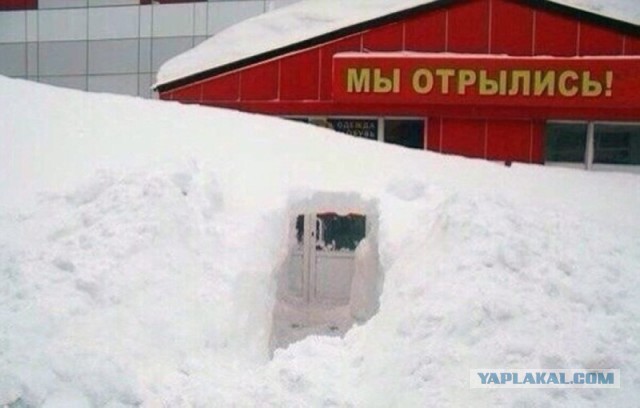 Только в России