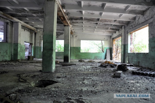 Семикаракорский консервный завод