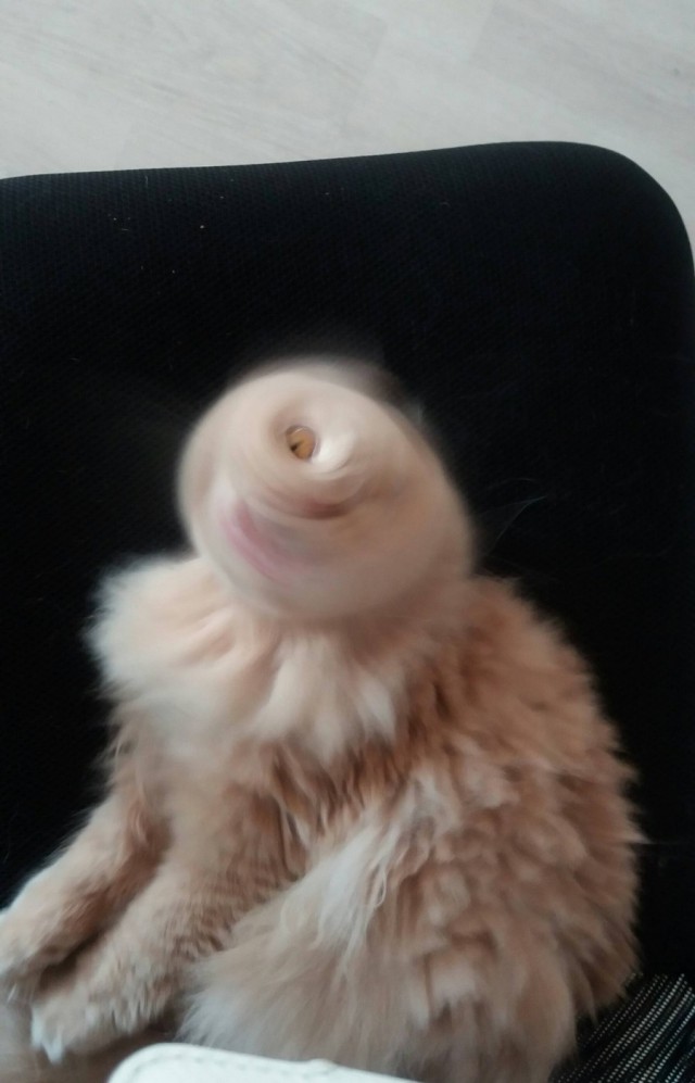 Подборка интересных и веселых картинок