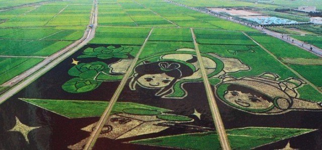 Картинки для отдыха глаз
