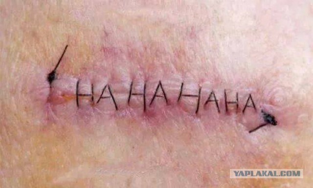 Тупые люди. Тупые животные. Тупые высказывания. Все тупые!