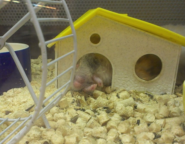 "Это все потому, что кто-то слишком много ест!"