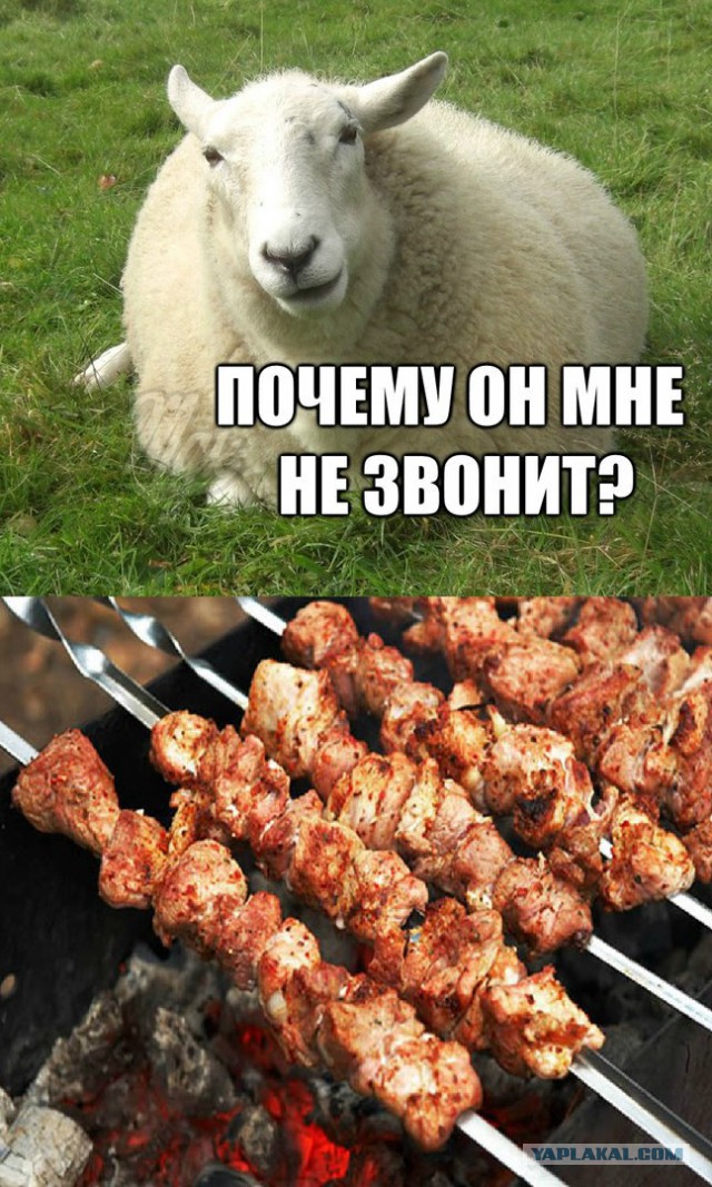 Соцсети - и смех и грех