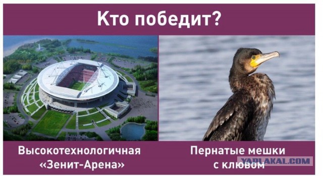 6 самых ненужных грандиозных сооружений в мире