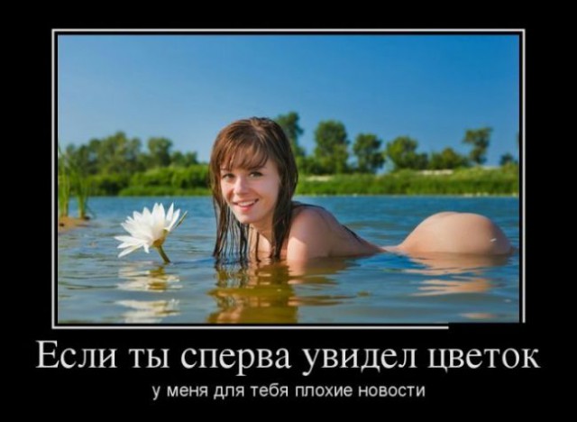 Картинки для настроения в пятницу.