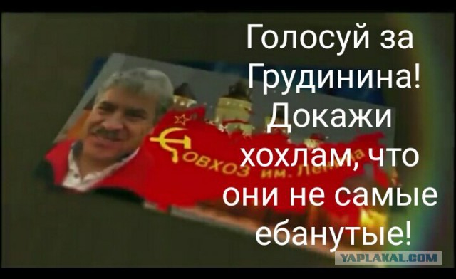 Видеотрансляция выборов 2018
