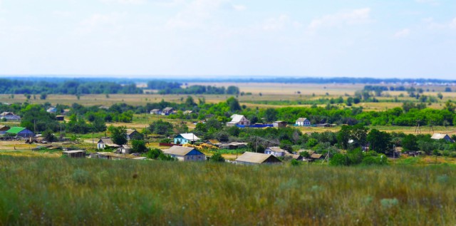 Летом в деревне