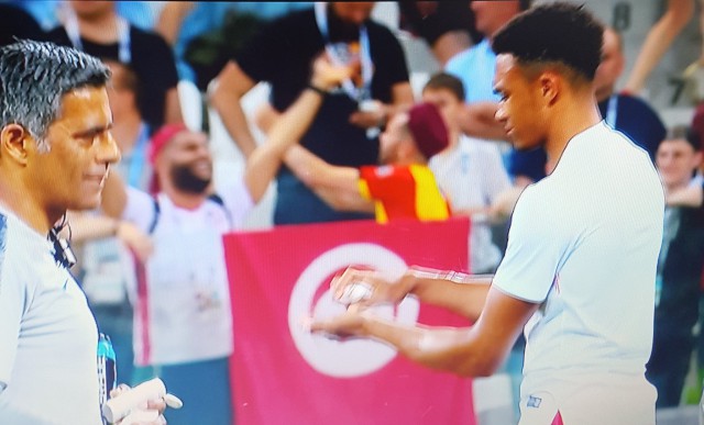 В день матча Англия — Тунис на Волгоград напали полчища мошки, хотя на борьбу с ними к ЧМ-2018 выделили миллионы рублей