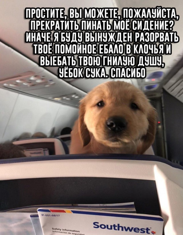 Слегка аморальный и лютый юмор. Только для ценителей