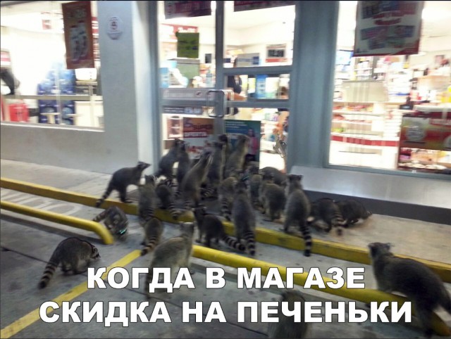 Нестандартный юмор