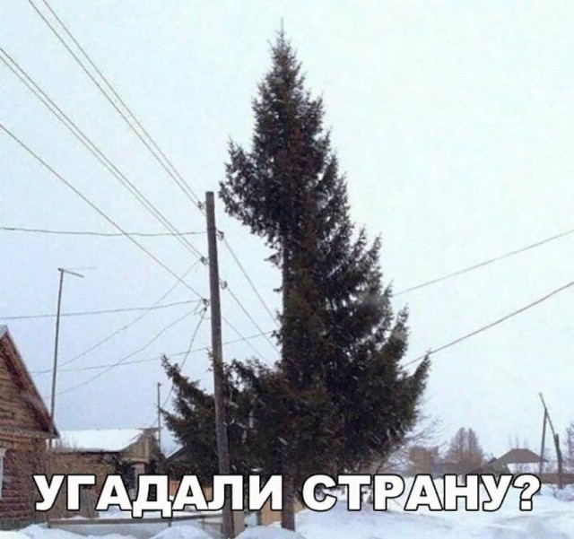 Прикалюхи