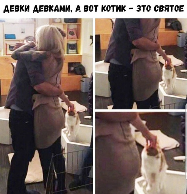 Прикольные картинки абавсём