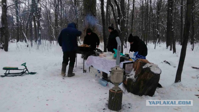 ЯП вокруг света. Германия, Австралия, Китай...