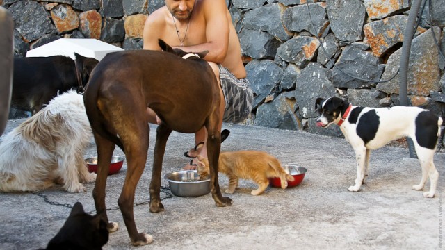 Один мой день. Самый первый!