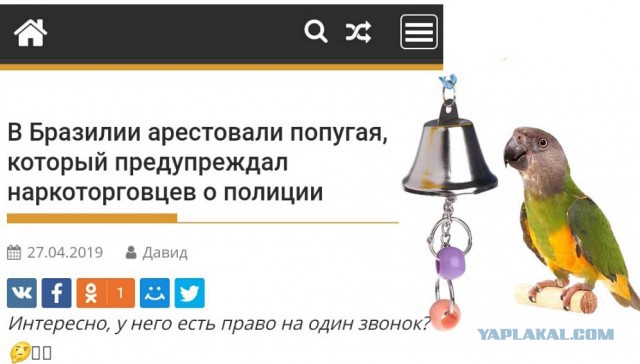 Картиночки