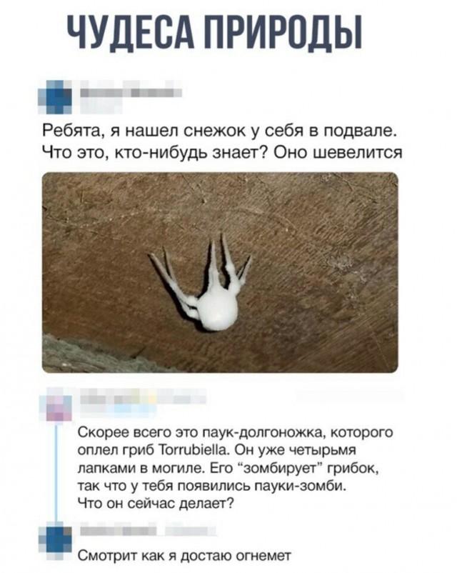 Все пробуют, хвалят, но никто не берет. Женщины жалуются