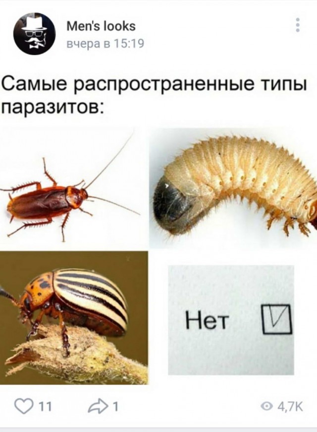 Юмор в картинках