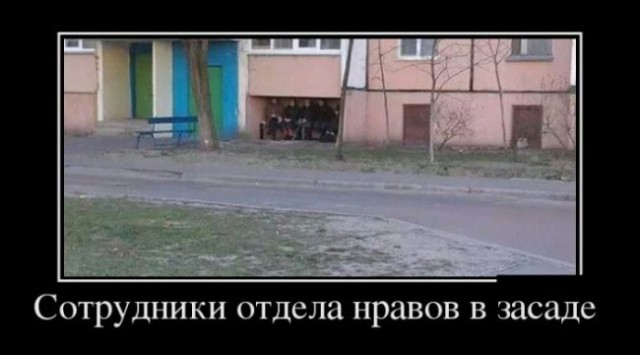 На это способны только бабушки. Картинки про бабушек