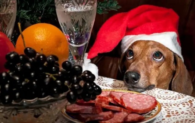 Девчонки готовятся к Новому Году!