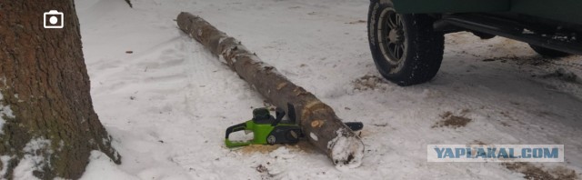 6 главных причин, почему женщинам не нравится борода