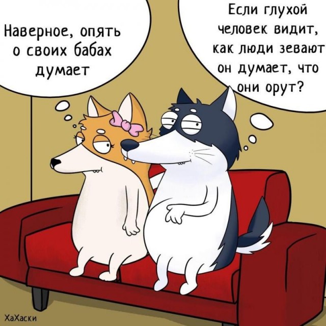 Картинки и мемы для настроения 020