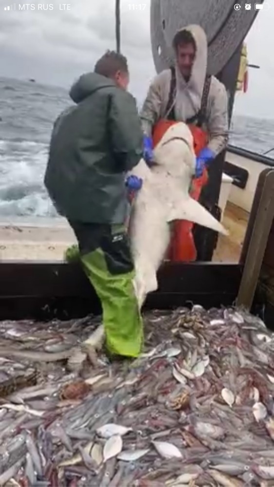 Когда зашел в кафе перед закрытием