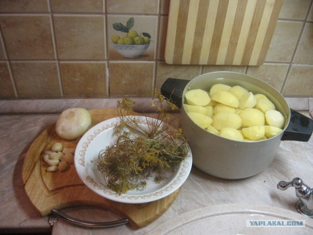 Картошечка