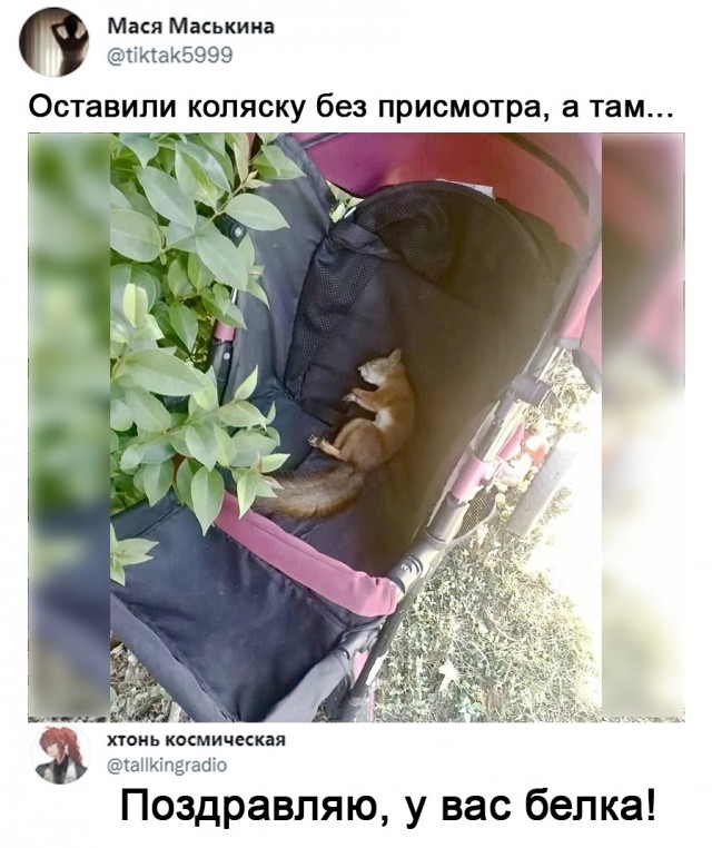 Так себе картинки 11.09.21